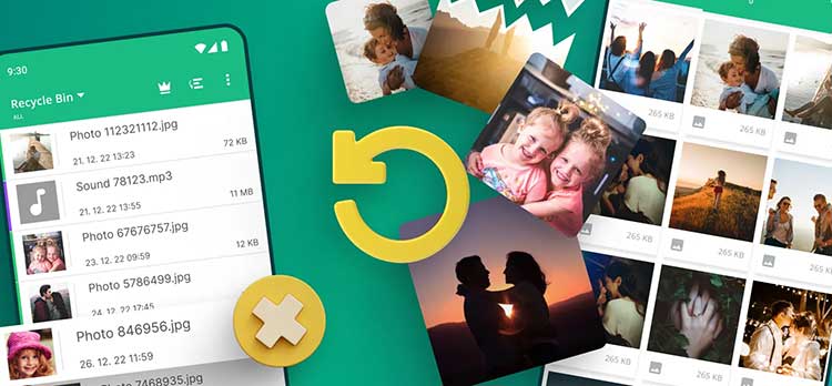 شیائومی دامپستر